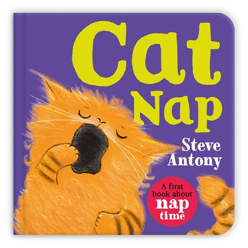 Cat Nap