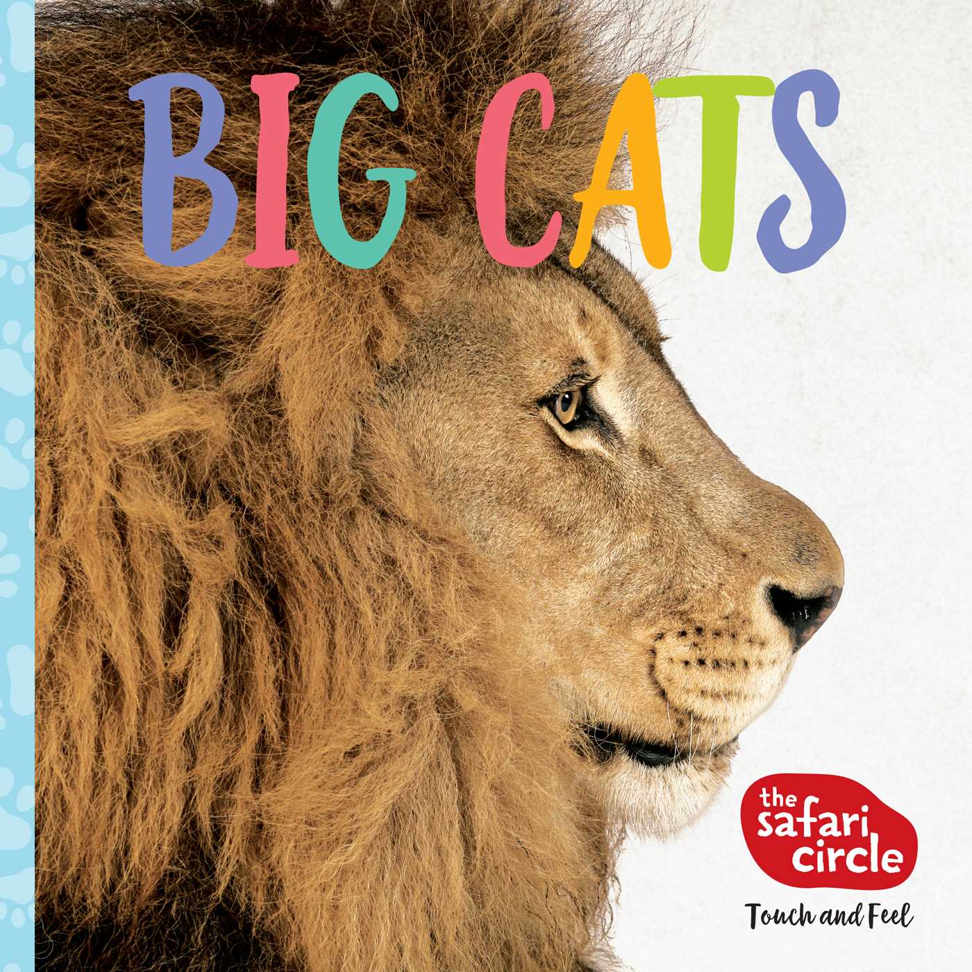 Safari Circle: Big Cats