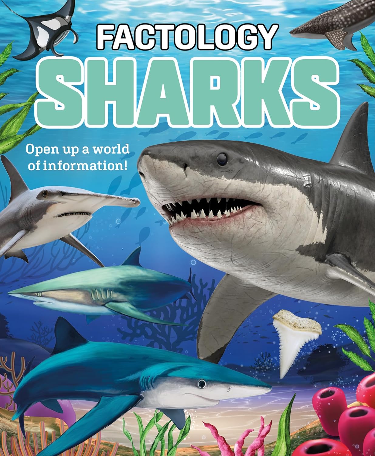 Factology: Sharks