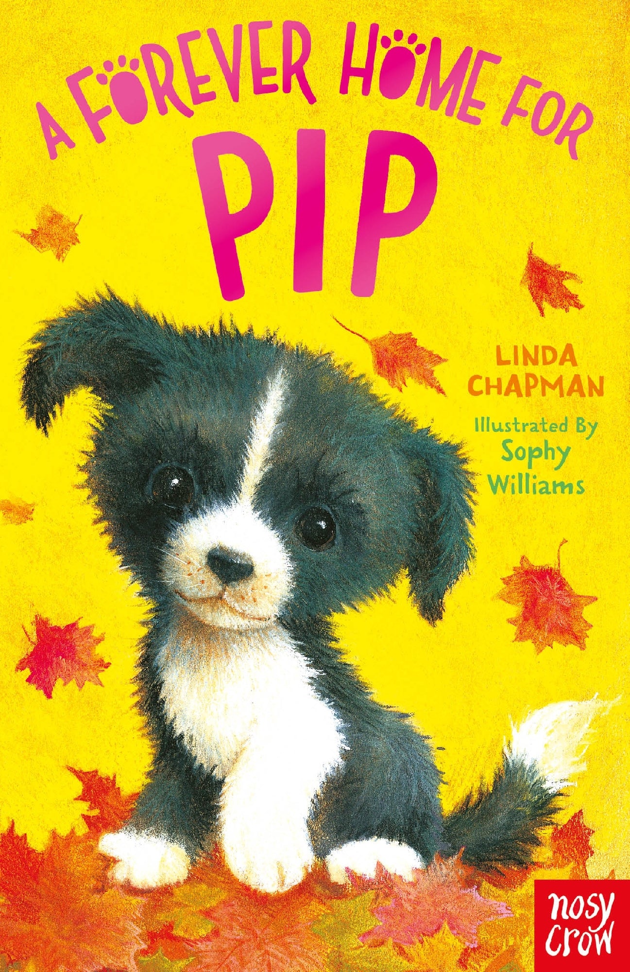 Forever Home for Pip