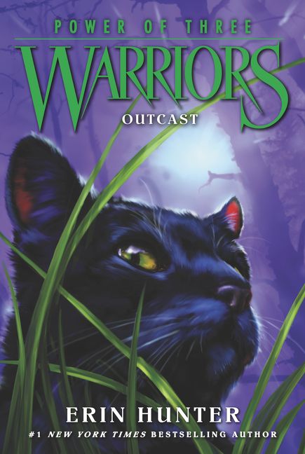 Warriors Power of Three #3: Outcast