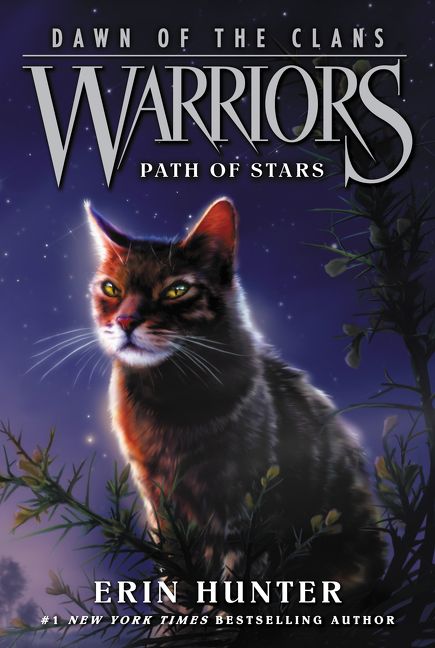 Warriors Dawn of the Clans #6: Path of Stars