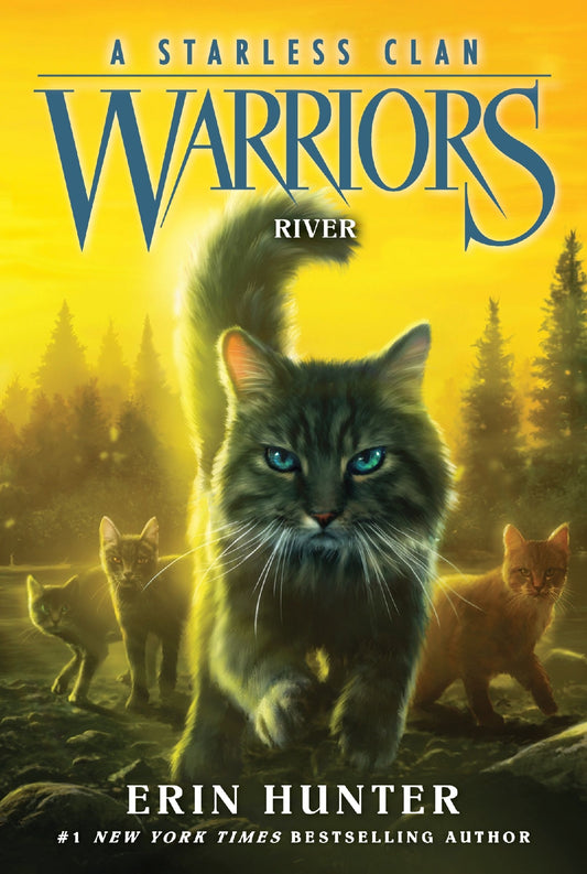 Warriors A Starless Clan #1: River