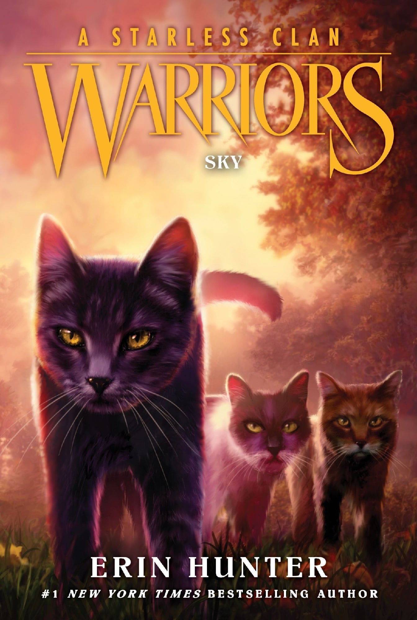 Warriors A Starless Clan #2: Sky