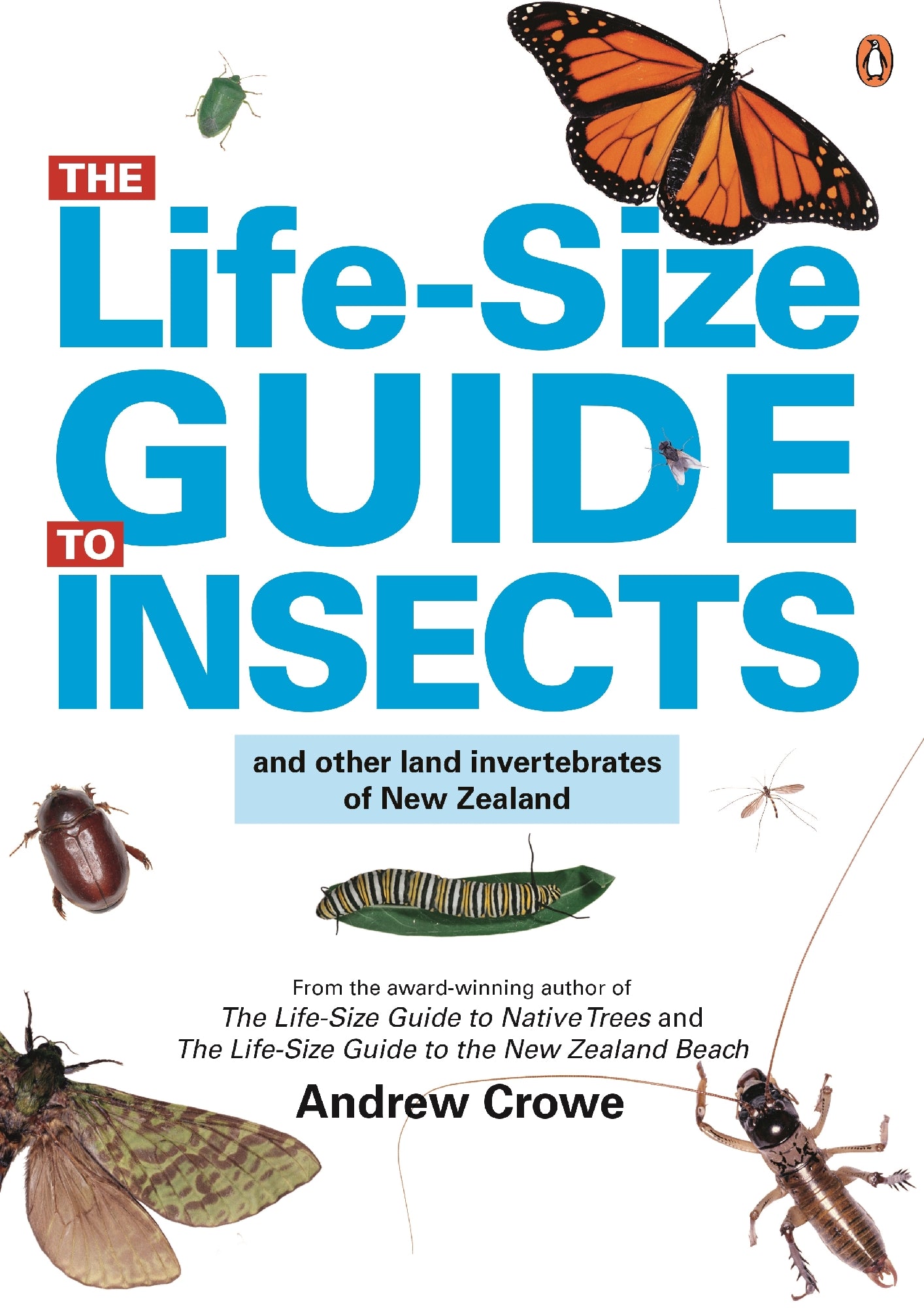 Life-Size Guide to Insects