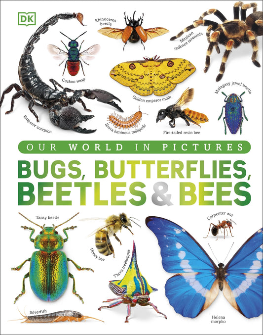 Bugs, Butterflies, Beetles and Bees
