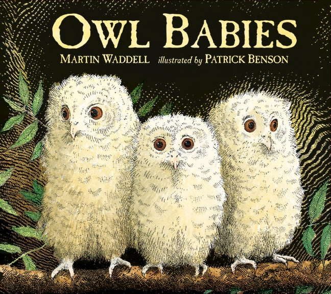 Owl Babies (Board Book)