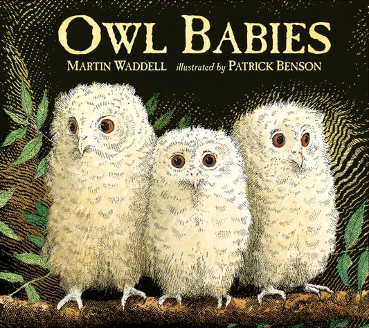 Owl Babies (Board Book)
