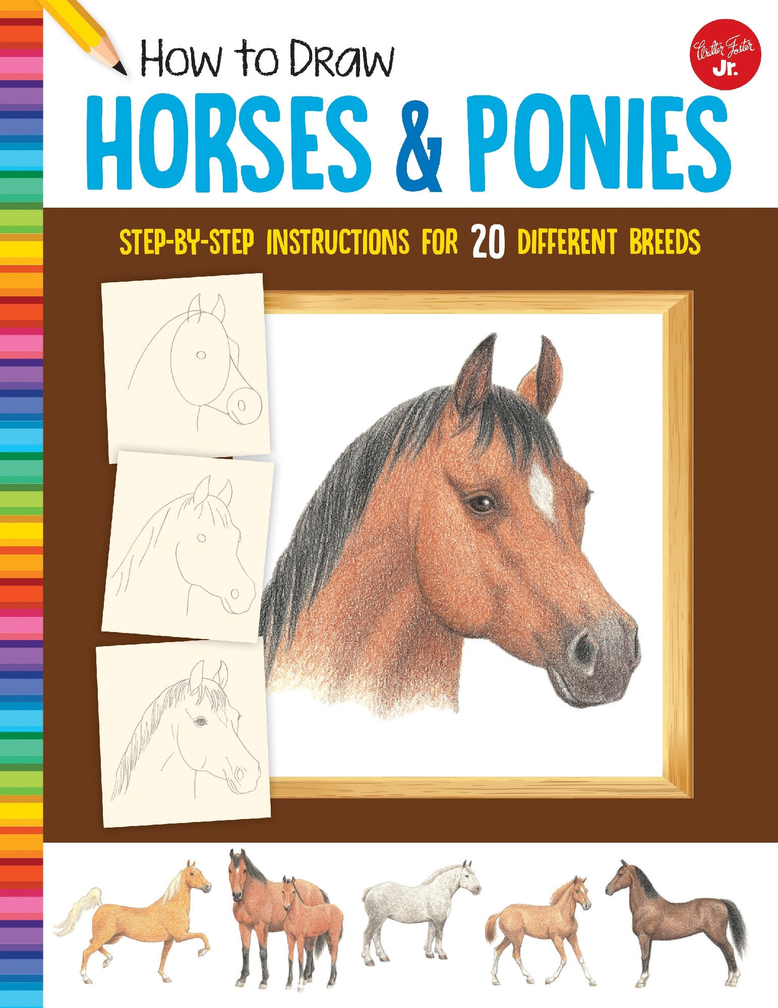 How to Draw Horses and Ponies