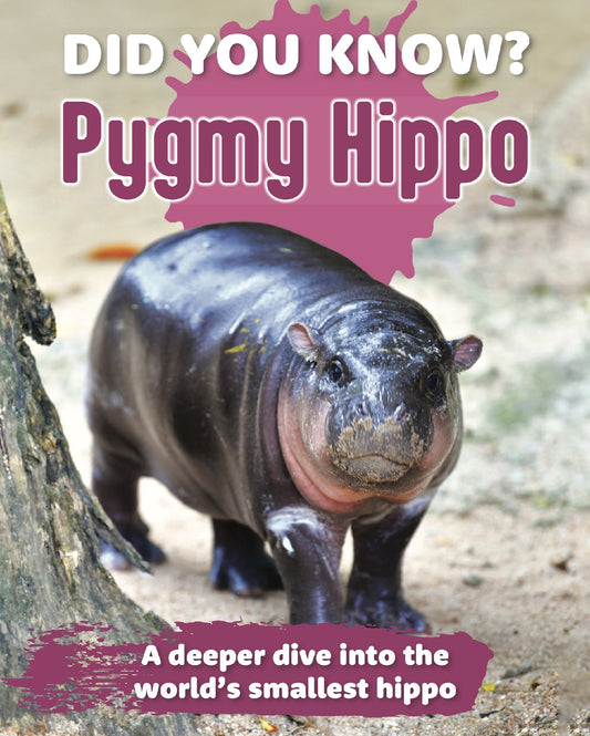 Did You Know? Pygmy Hippo