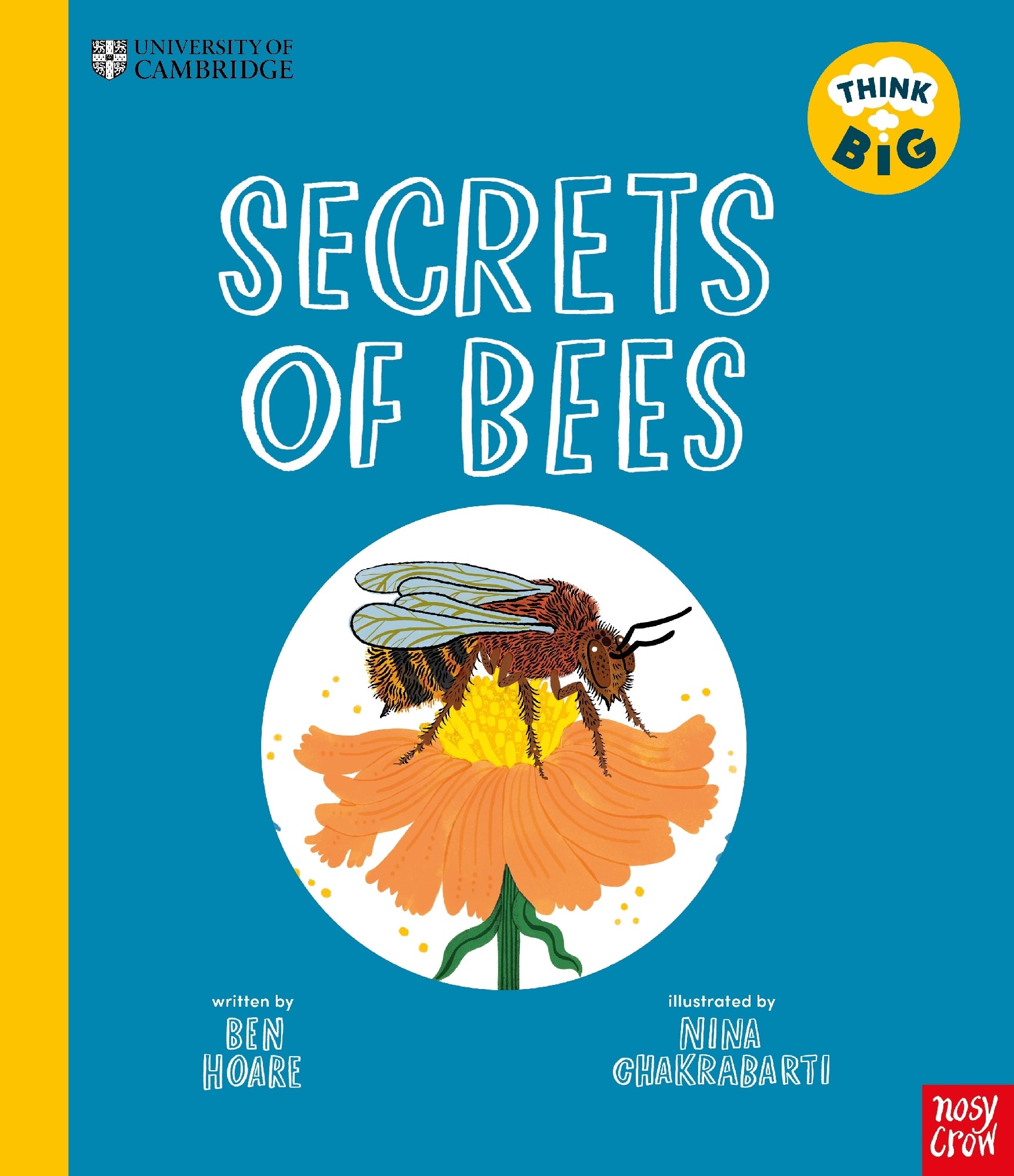 Secrets of Bees (Think Big)