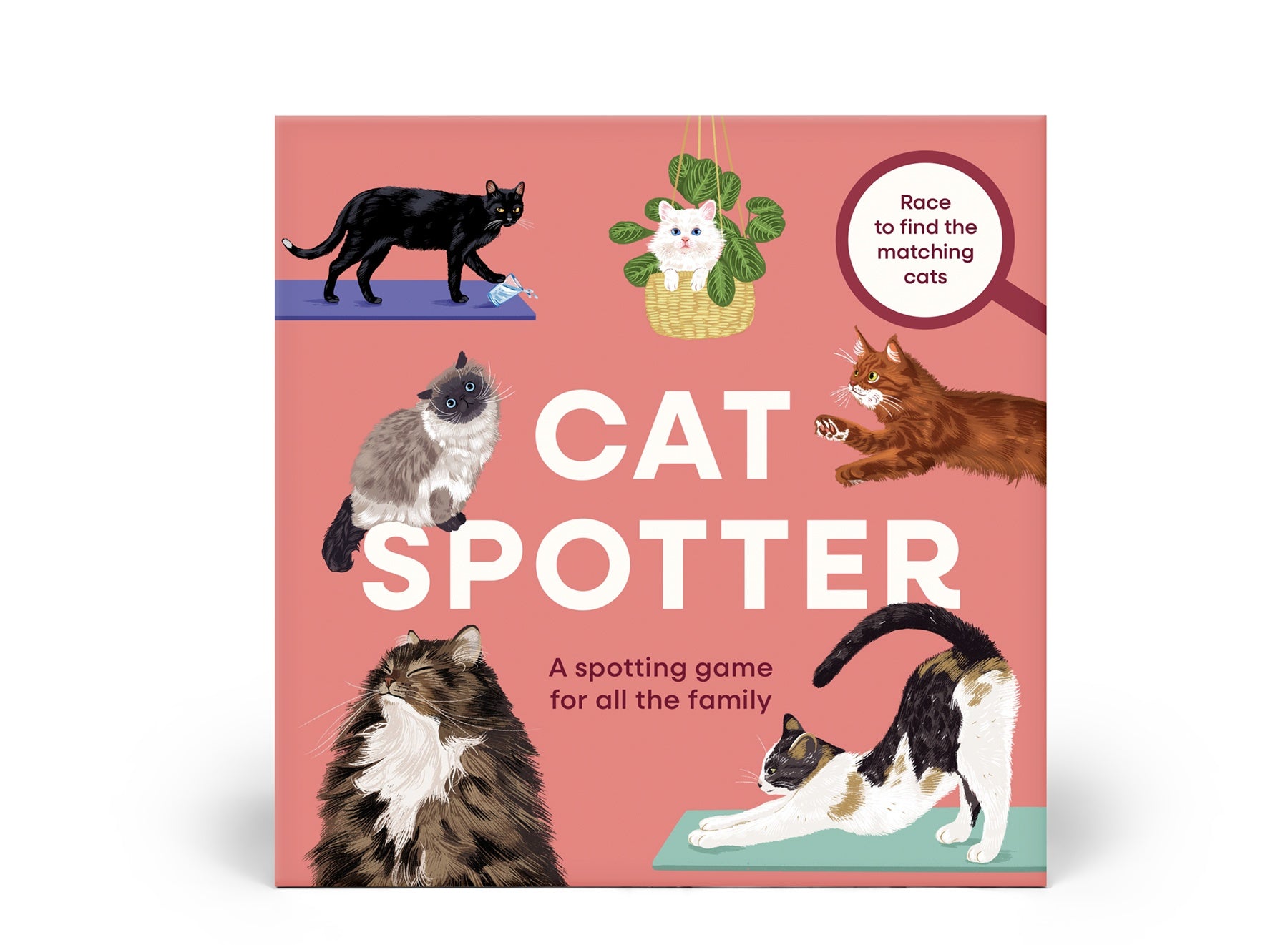Cat Spotter: A spotting game for all the family - Race to find the matching cats